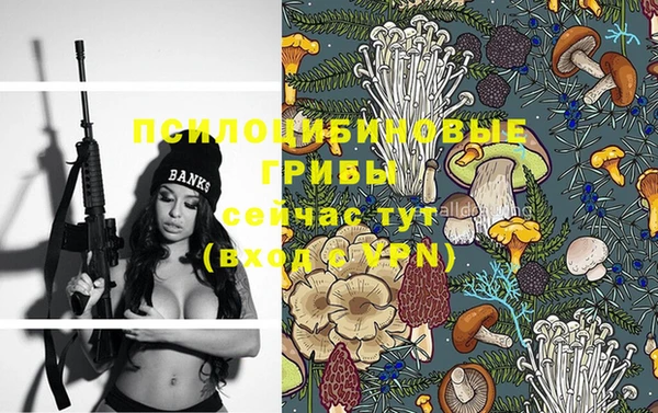 гашик Абдулино