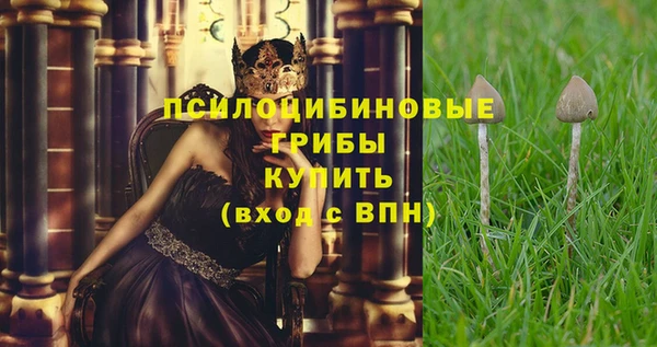 гашик Абинск