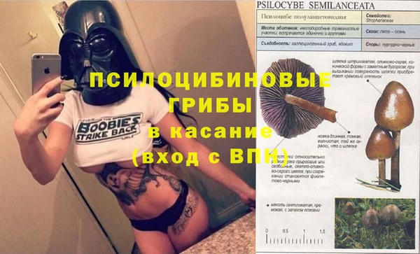 гашик Абдулино