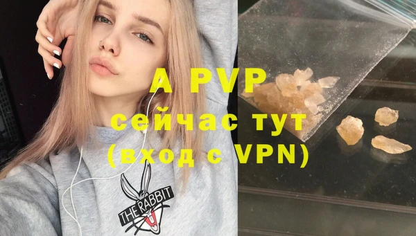 гашик Абинск