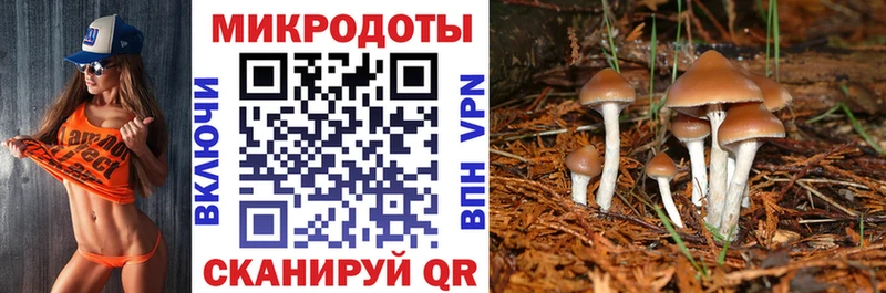 Галлюциногенные грибы мухоморы  Южа 